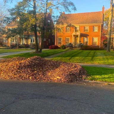 Leaf Cleanup Service in Cleveland, Ohio